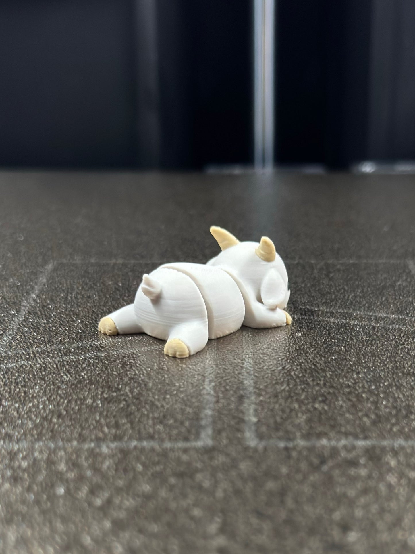 Nuki Zookis — view 5