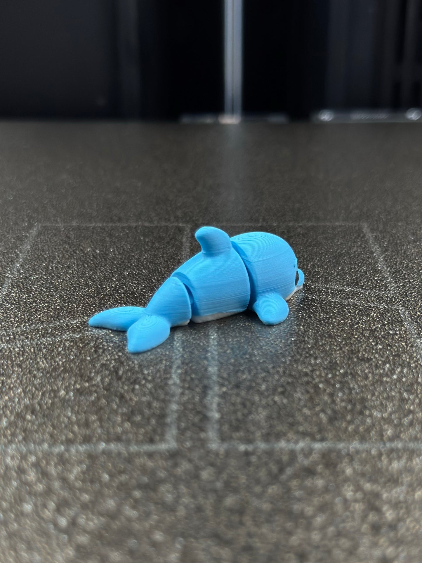 Swik Zookis — view 5