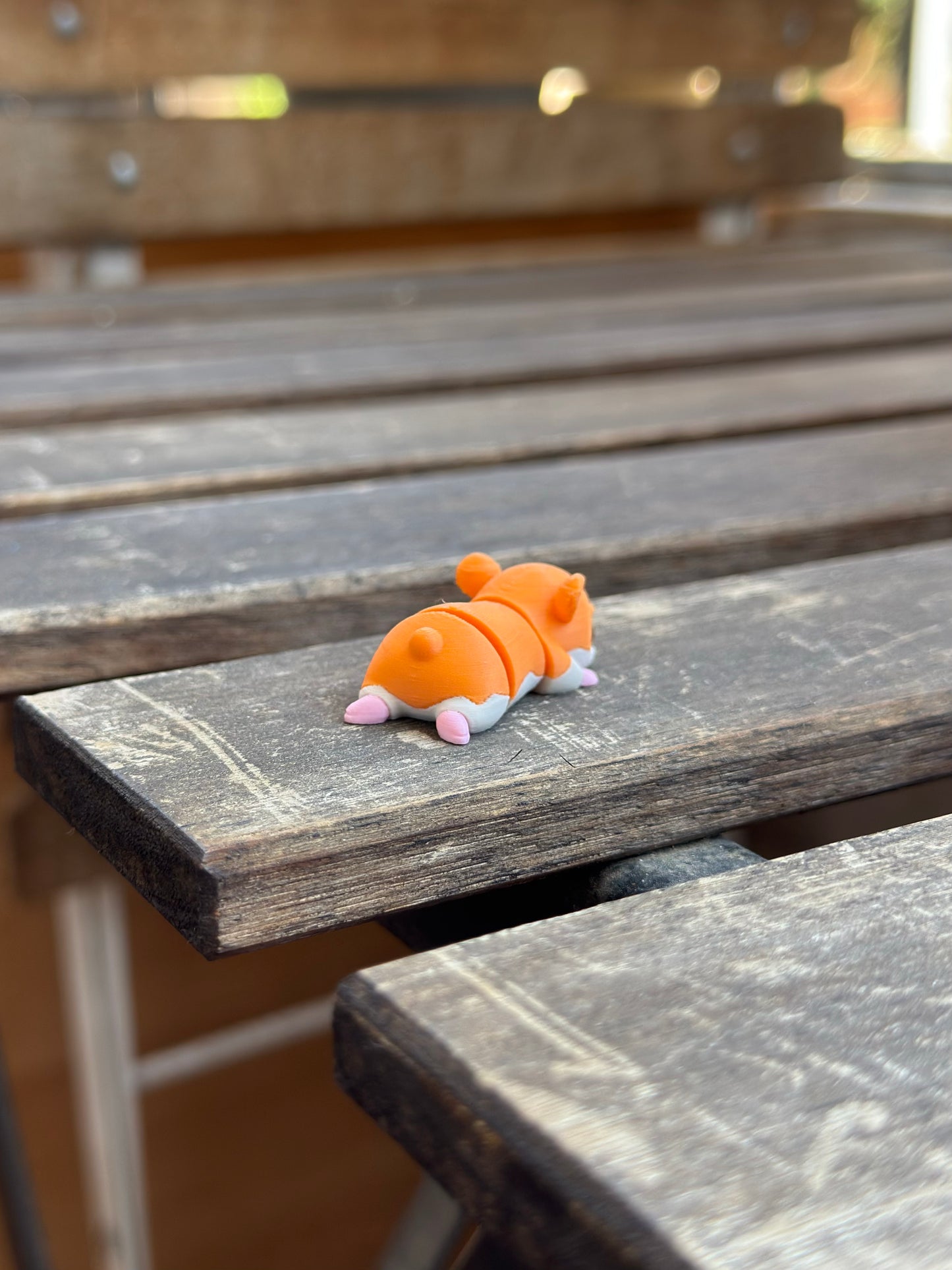 Hammy Zookis — view 5