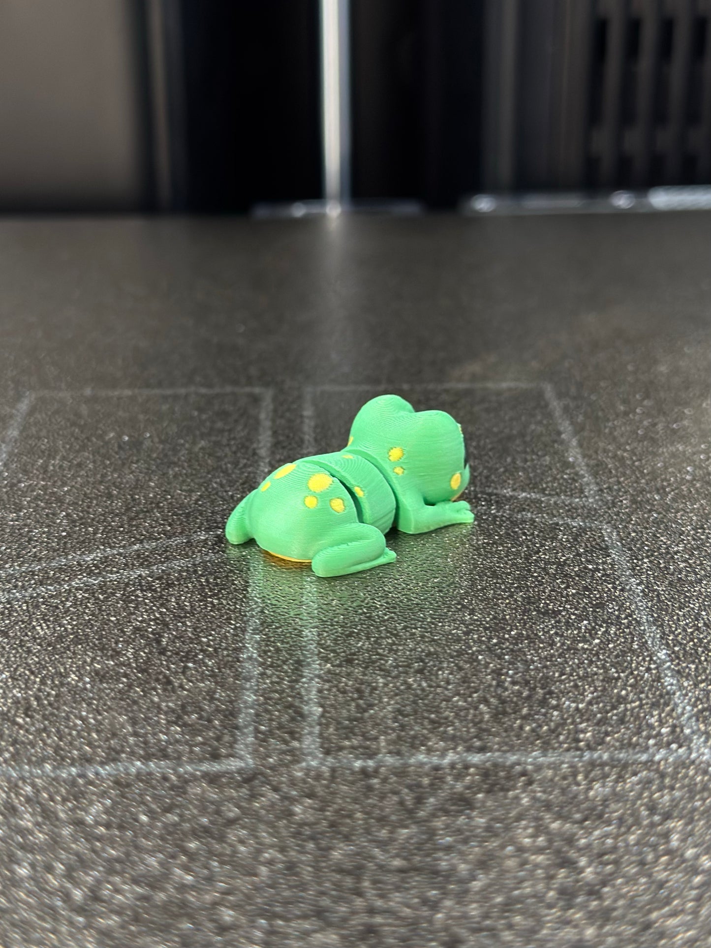 Yampi Zookis — view 5