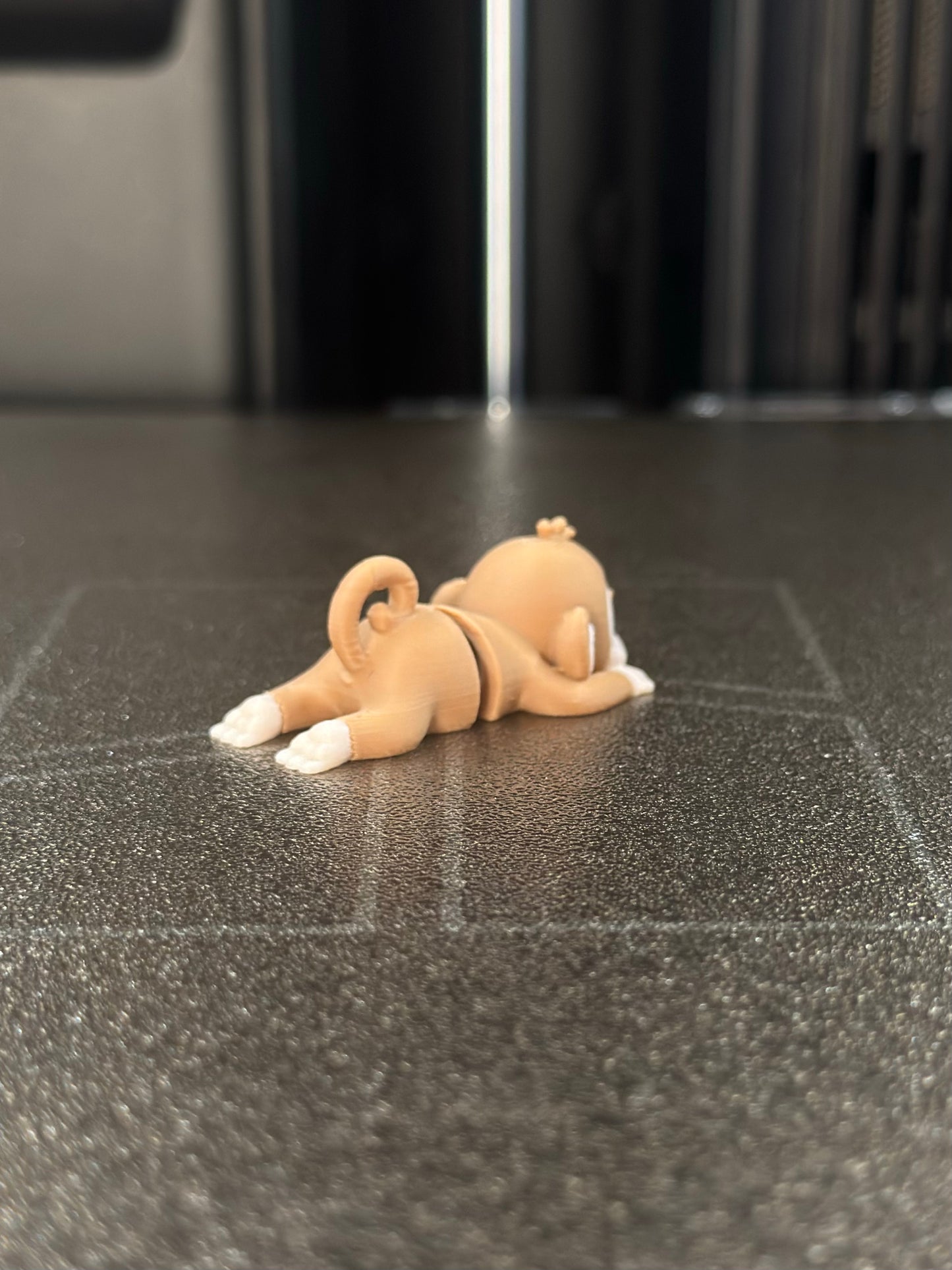 Moki Zookis — view 5
