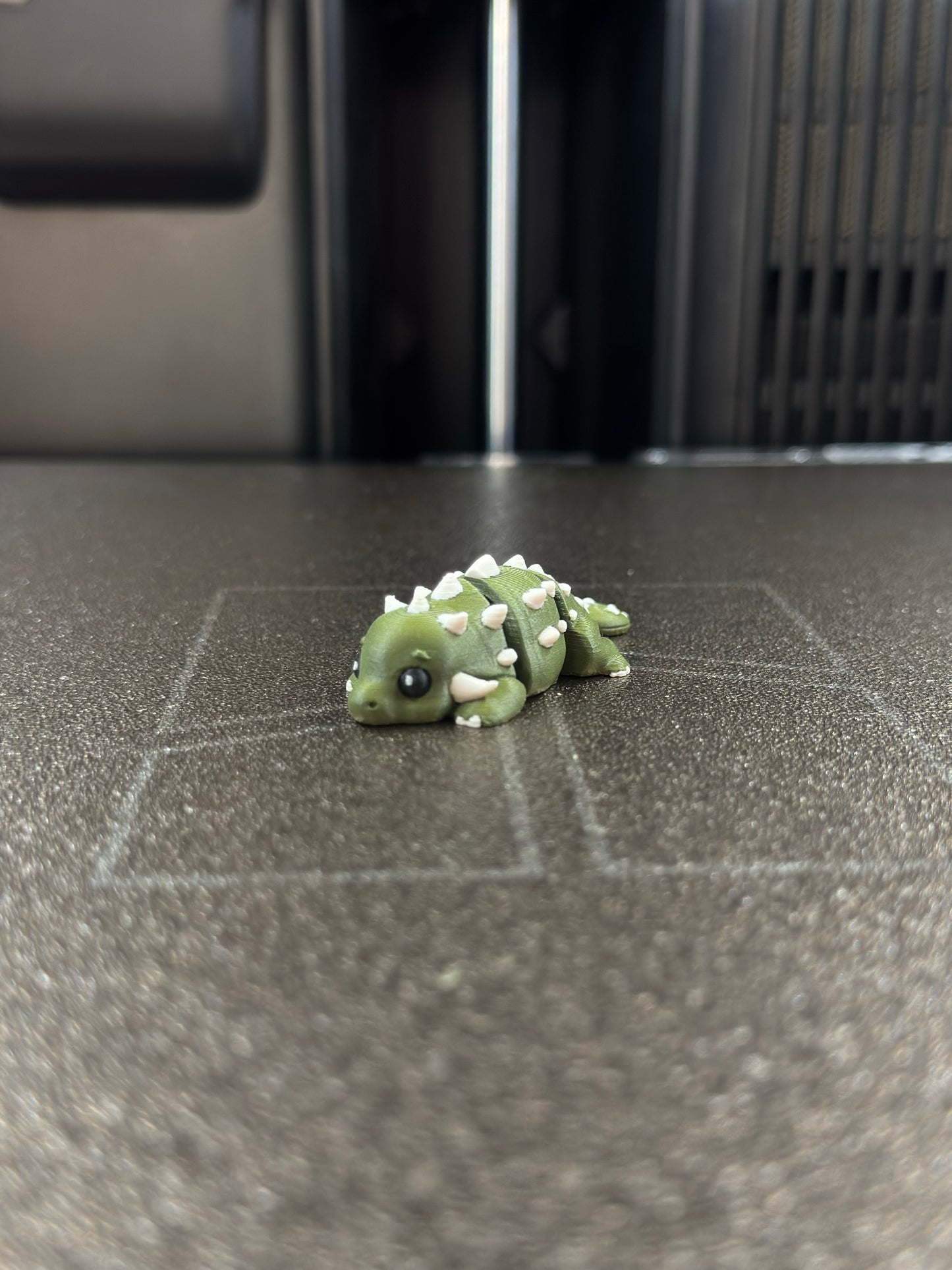 Roko Zookis — view 5