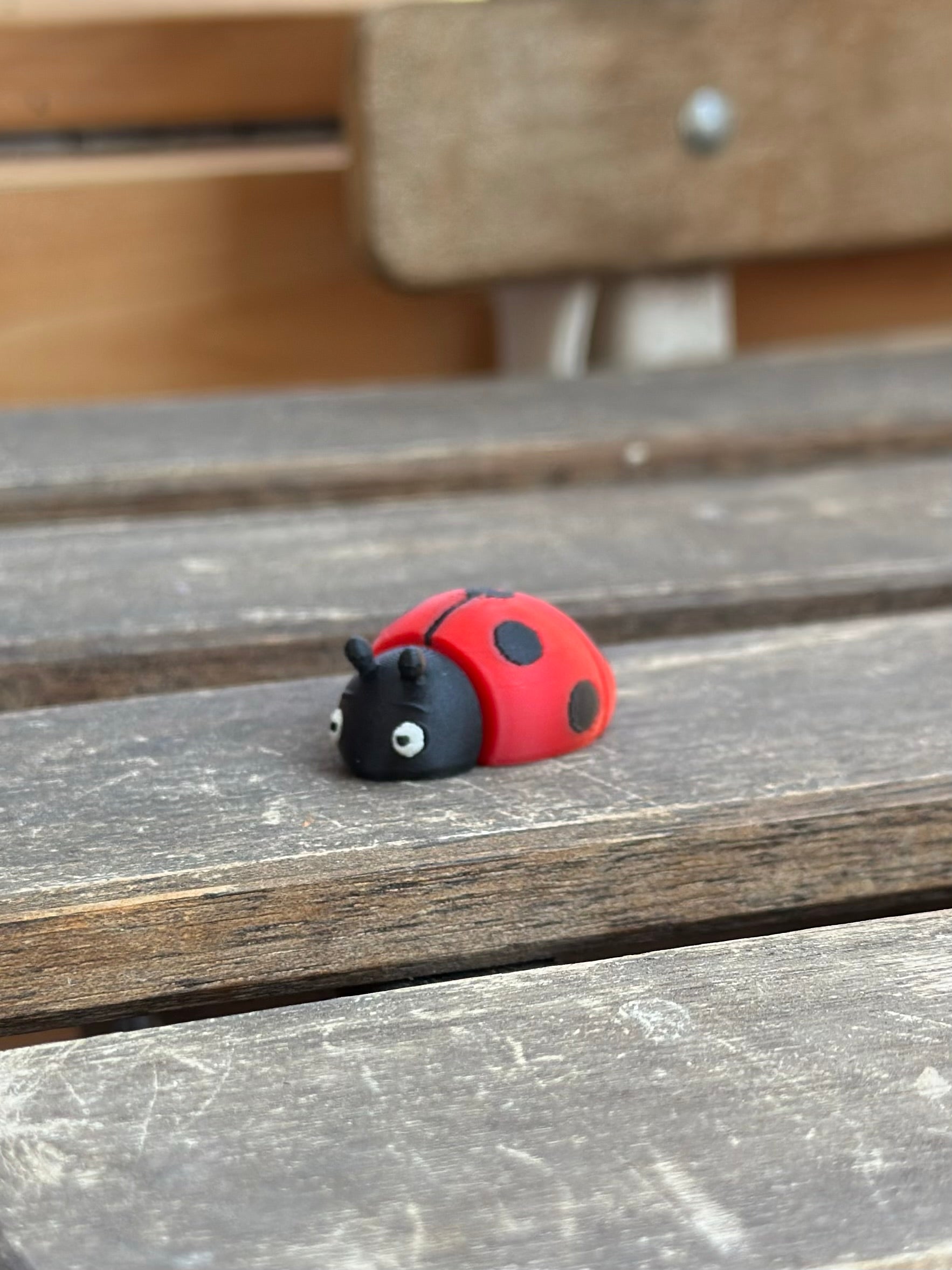 Dotty Zookis — view 3