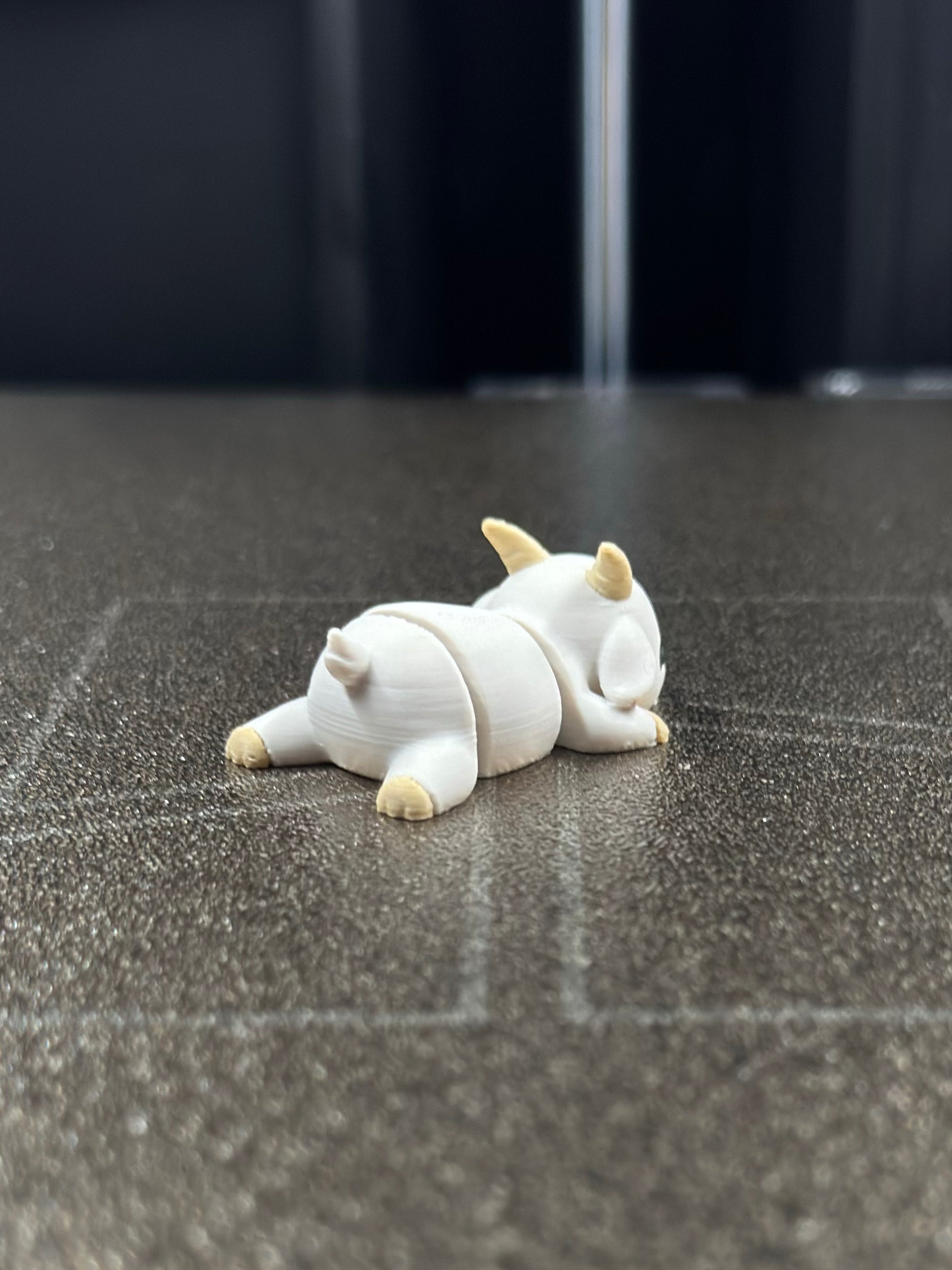 Nuki Zookis — view 5
