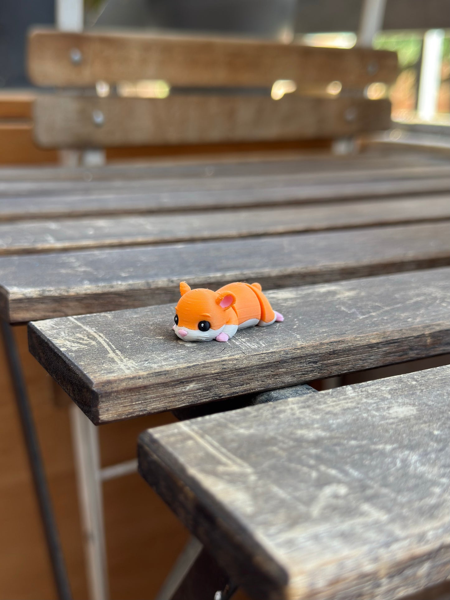 Hammy Zookis — view 3