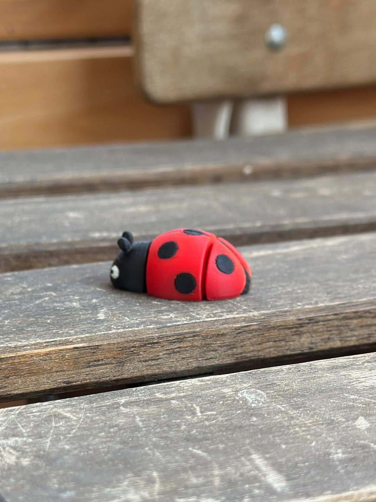 Dotty Zookis — view 4