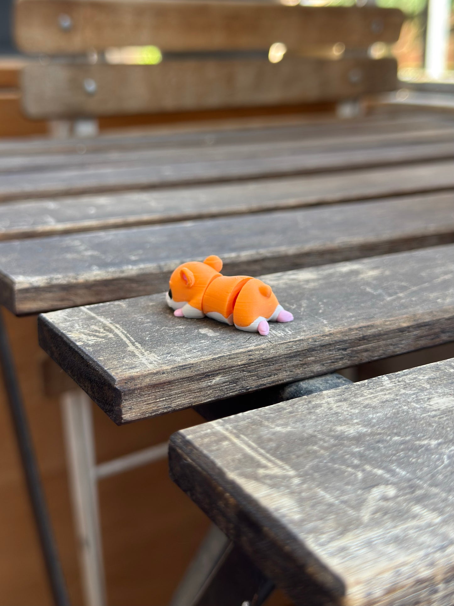 Hammy Zookis — view 4