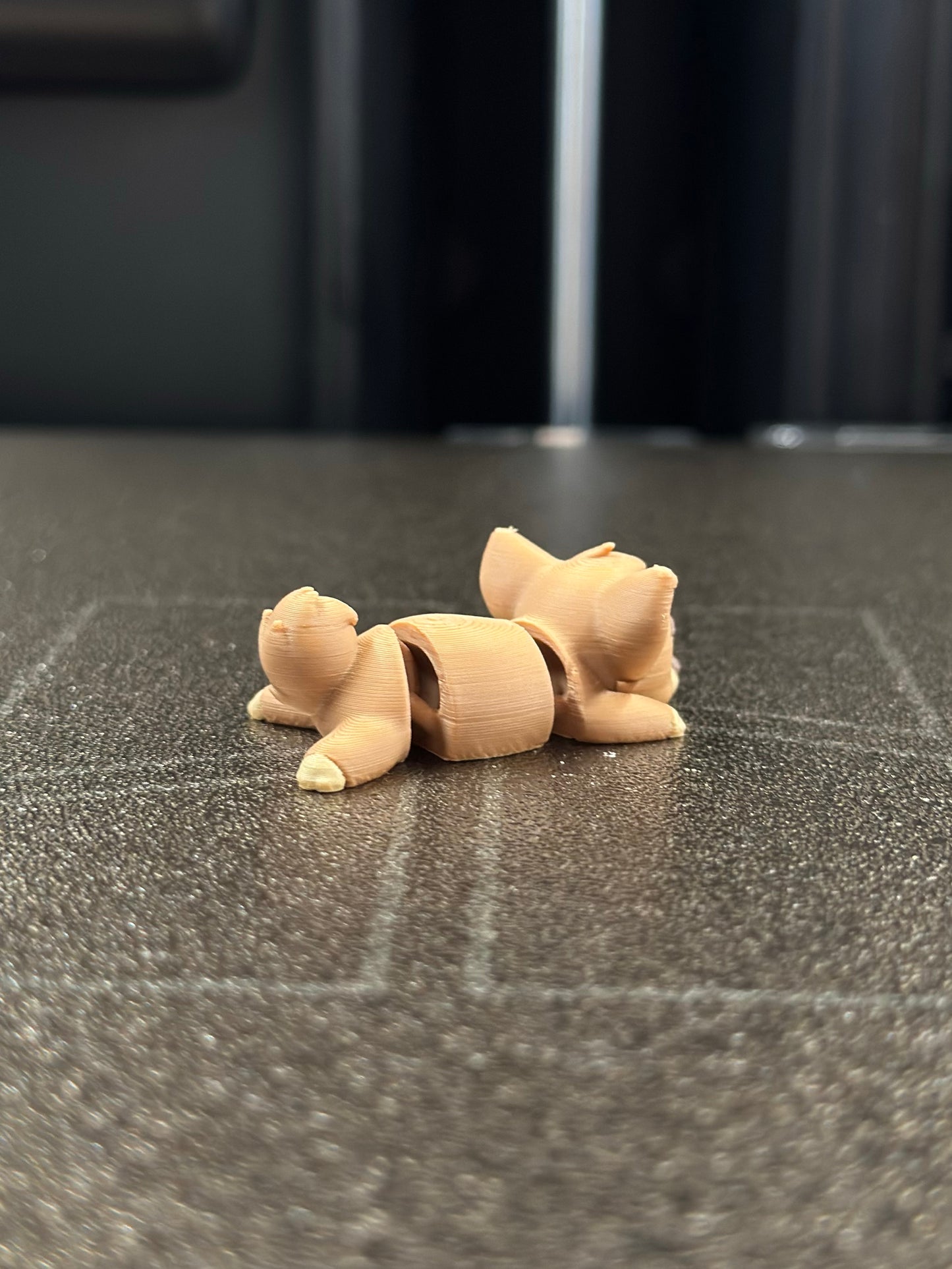 Tofu Zookis — view 5