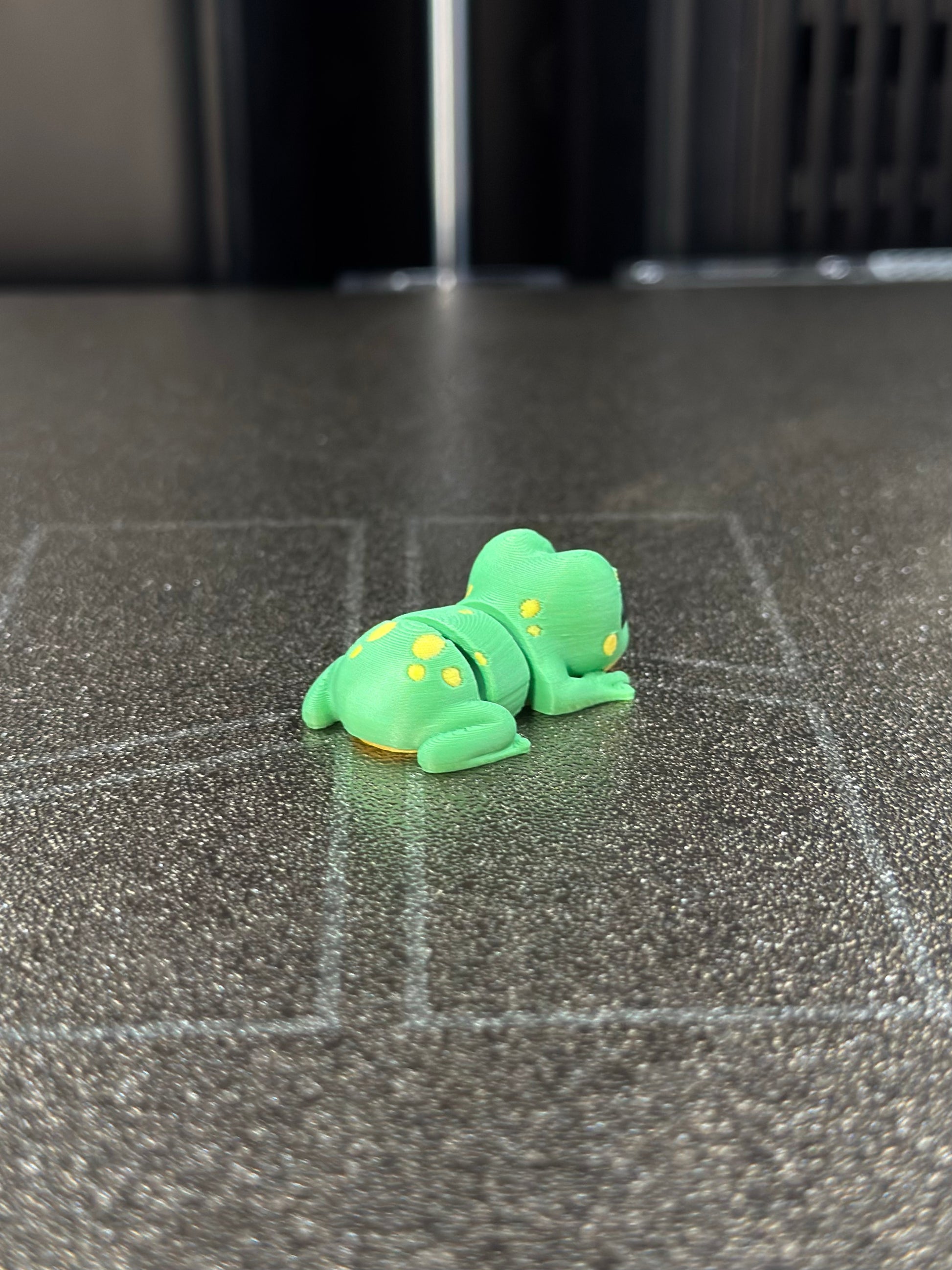 Yampi Zookis — view 5
