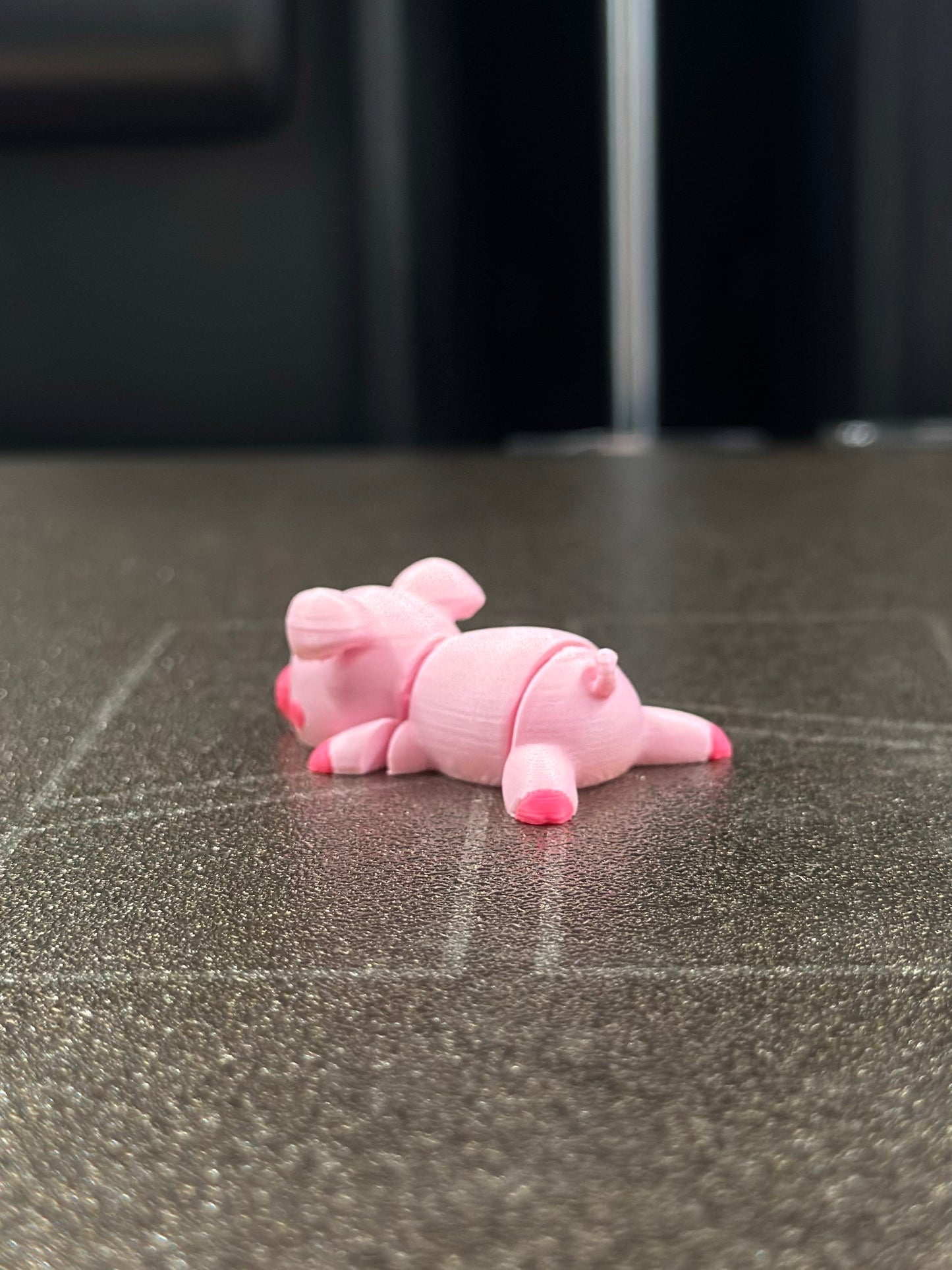 Pinki Zookis — view 4