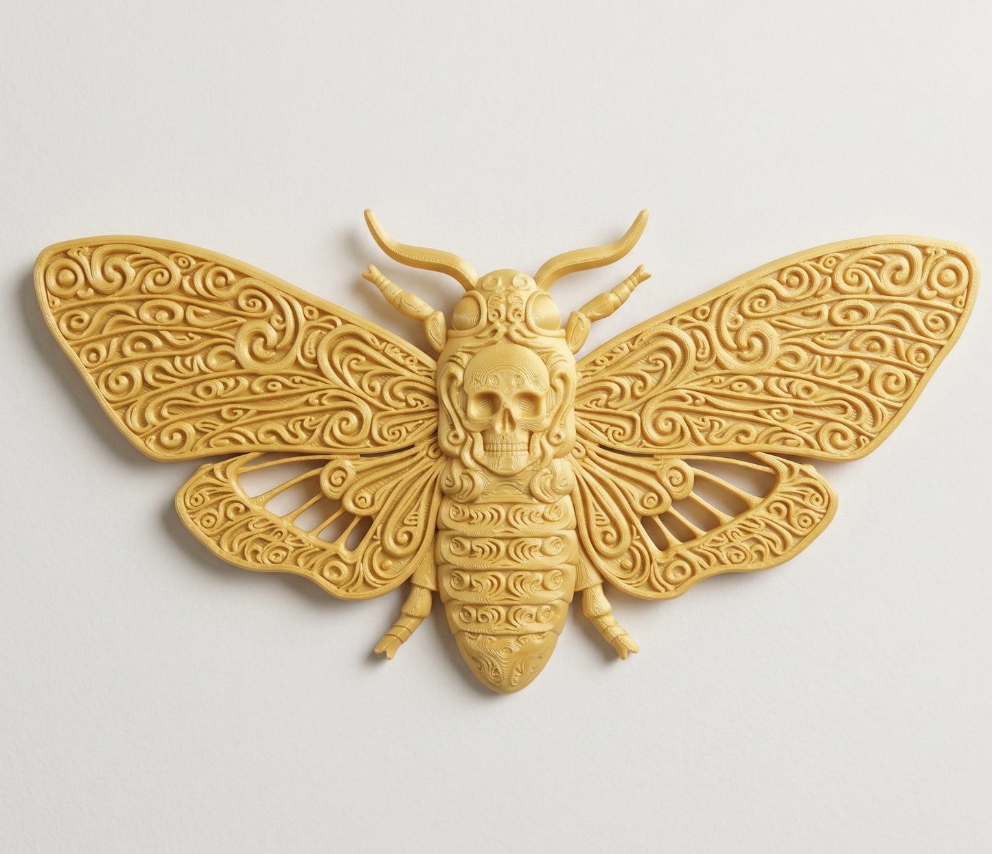 Death's-head Moth wall art — view 3
