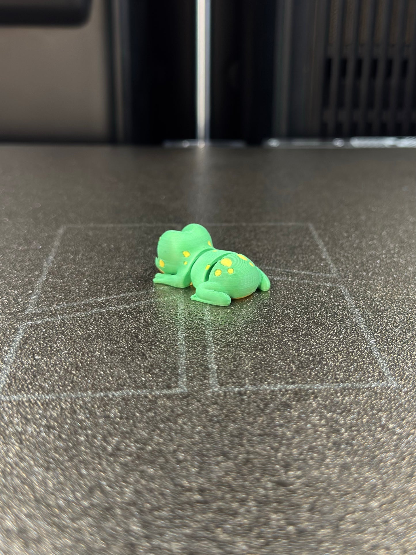 Yampi Zookis — view 4