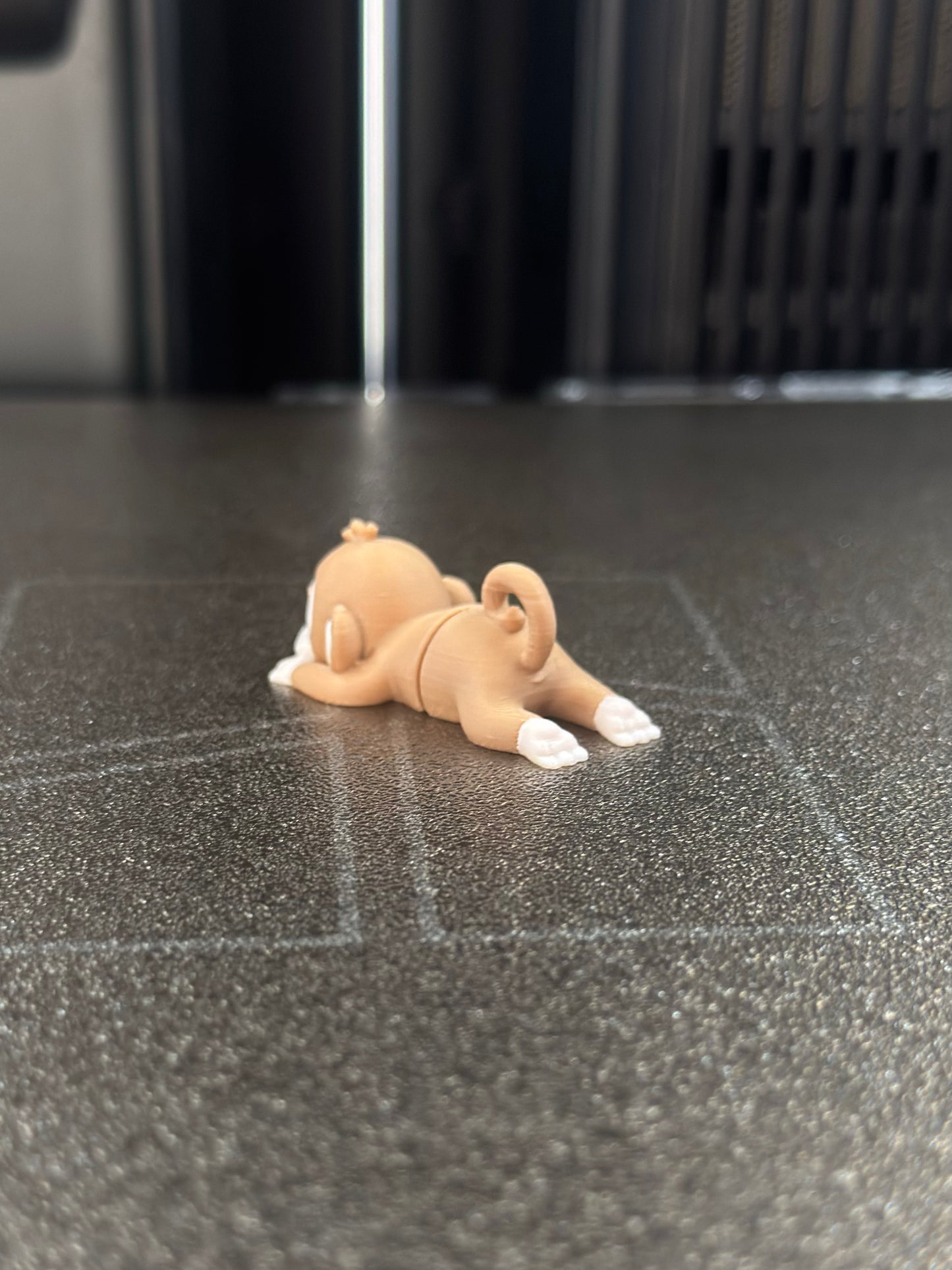 Moki Zookis — view 4