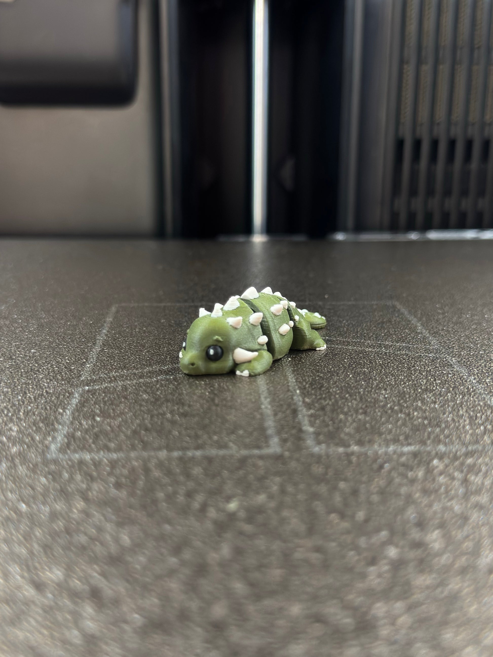 Roko Zookis — view 5